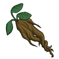 Mandrake Root